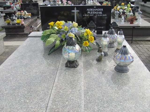 Grób Aleksandra  Pleśniak