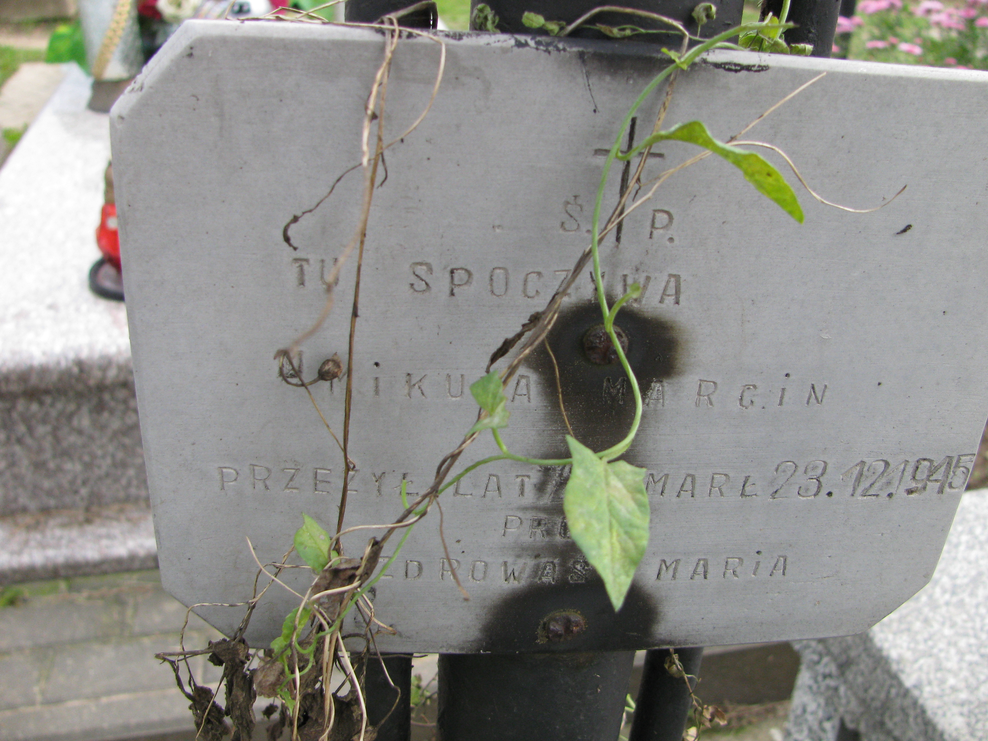 Zdjęcie grobu